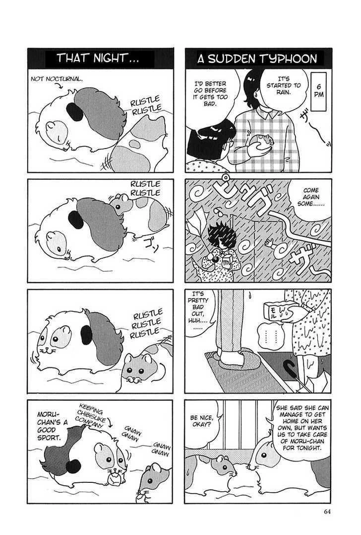 Hamster no Kenkyuu Report Chapter 7 8